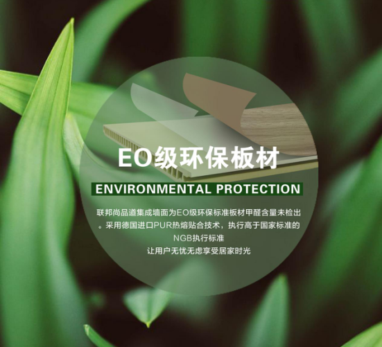聯邦尚品道集成吊頂 集成墻面