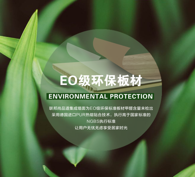 聯邦尚品道集成墻面E0級.png
