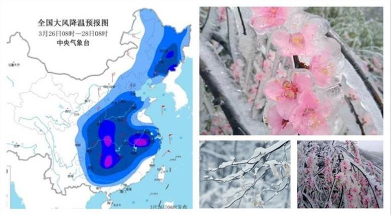 寒潮浴室取暖.jpg